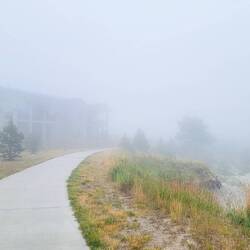 Foggy morning at the end of June — Colorado Springs, CO.