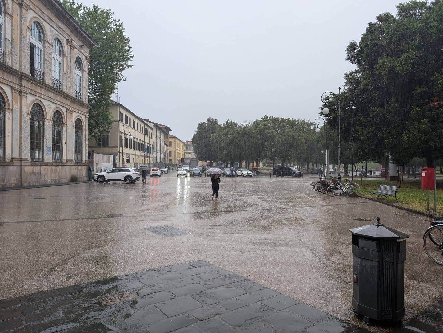 Raining cats and dogs