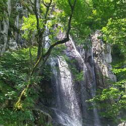 Boyana Waterfall