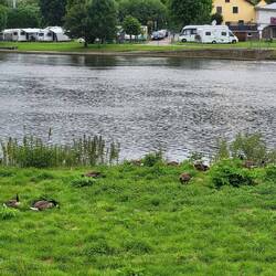 Camping an der Ruhrbrücke