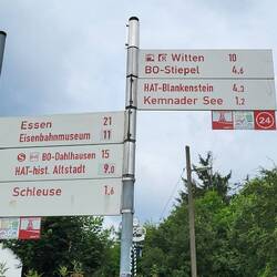 Vieles zu entdecken