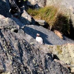 Vorhang auf für eine kleine, aber feine Vorstellung! 🙃