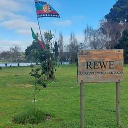 De vlag van de comunidades mapuches