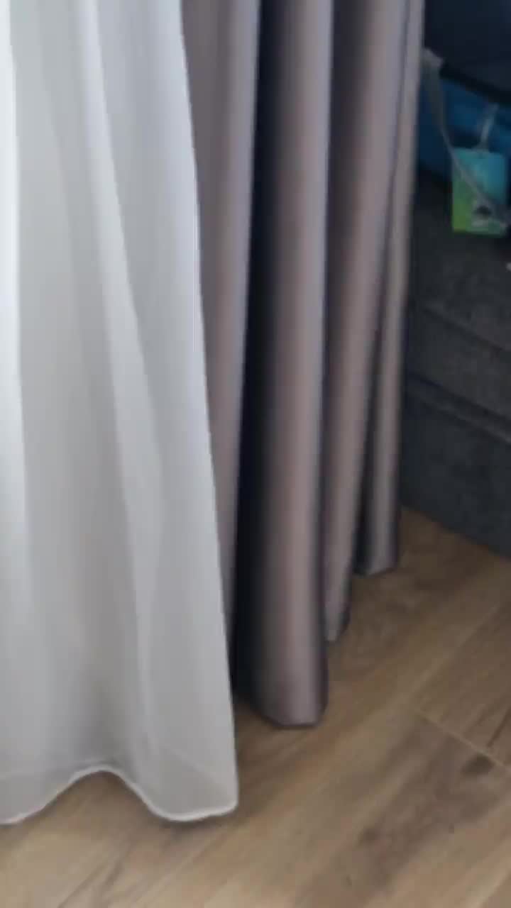 Good morning from our other window