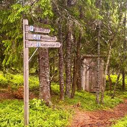 Das Häuschen mit dem Herz 🚻