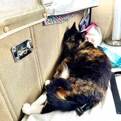 Doesn't look very comfortable