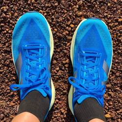 Neue Laufschuhe (die nicht mehr sehr lange so sauber sein werden)