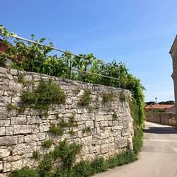 Ufem Wäg zum Castel