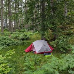 Camping am Loch Lochy. um uns herum andere verrückte Wanderer und Camper