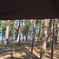 Morgendlicher Blick aus dem Dachzelt