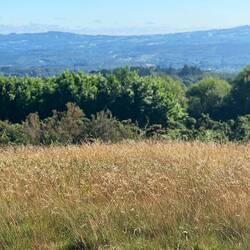 More great views - mid morning
