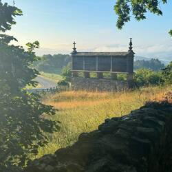 We saw many of these structures but are not sure of their purpose. We will investigate