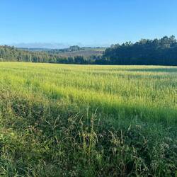 Great views all day long - Morning