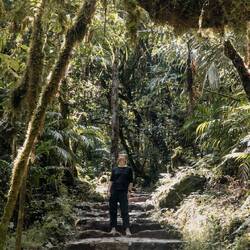 Der Dschungel des Amazonas reicht bis in die Berge