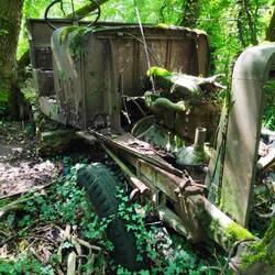 Halbkettenfahrzeug im Wald