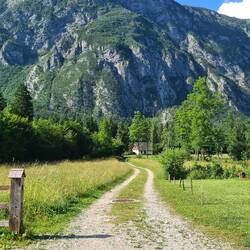 Picturesque driveway