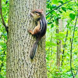 Beim wandern entdeckt