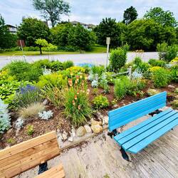 Die angelegten Stadt/Strandgärten