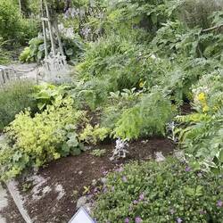 Die Gärten direkt am Strand