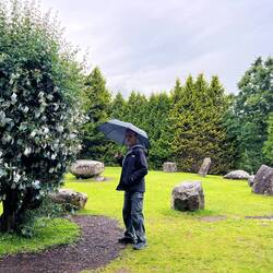 Reading the wishes on the Fairy Tree
