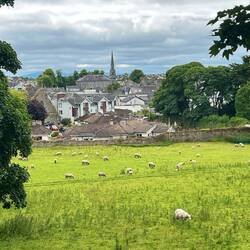 Town of Cashel view from the top of the rock