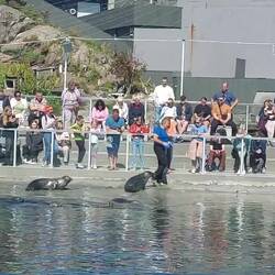 ... und das sieht man auch!