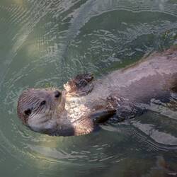 Aber eigentlich sind wir ja nur für die hier da...