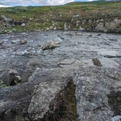 Hier hin und zurück durch