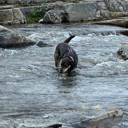 Hat er super gemacht der Angsthase 👍🏽