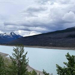 Medicin Lake