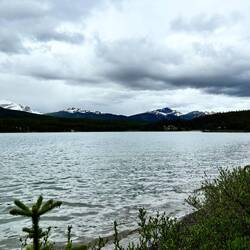 Maligne Lake