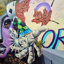 Die Armee die am 16.10.2002 die Würfel entscheiden lassen hat wer in der Comuna 13 stirbt