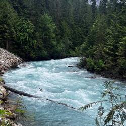 Robson River