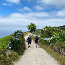 Toller Wanderweg mit Blick