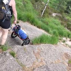 Rolf musste sich mehr als unter Beweis stellen