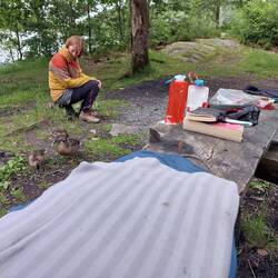 Die Entenfamilie wollte nicht gehen