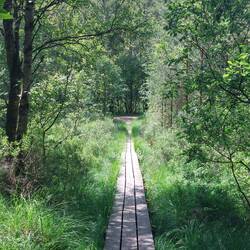 Natürlich war der Weg nicht so breit wie Rolf es gebraucht hätte