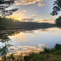 Der wunderschöne Prästtjärn, wundervoll klar und voller Seerosen. Er lieferte uns Trinkwasser 2 Tage