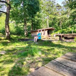 Erstmal Baumstumpfhocken und sammeln bei der Ankunft