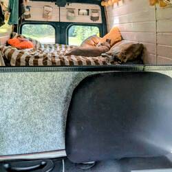 Bella genießt die Aussichten während der Fahrt