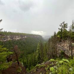 Chasm Provincial Park in the rain