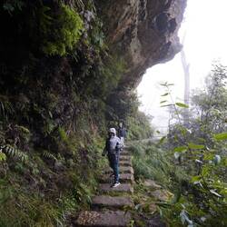 Wentworth Falls and Overcliff walk