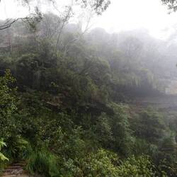 Wentworth falls and over cliff walk