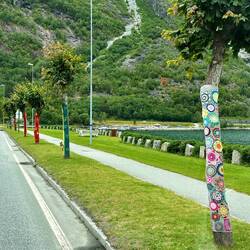 Umstrickte Baumstämme???