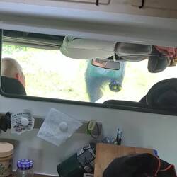 Der Tod unserer Radioantenne, hat als Kletter Griff nicht standgehalten