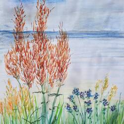 3) Pastellbild (50x70)