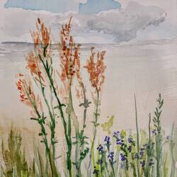 2) das Aquarell (A5)