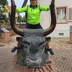 Wenn ein Stier ein anderer Stier trifft
