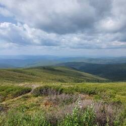 Top of the World Hwy