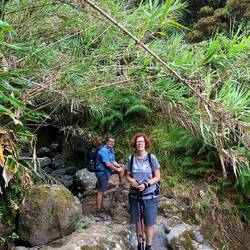 Abwechslungsreiche Wanderung